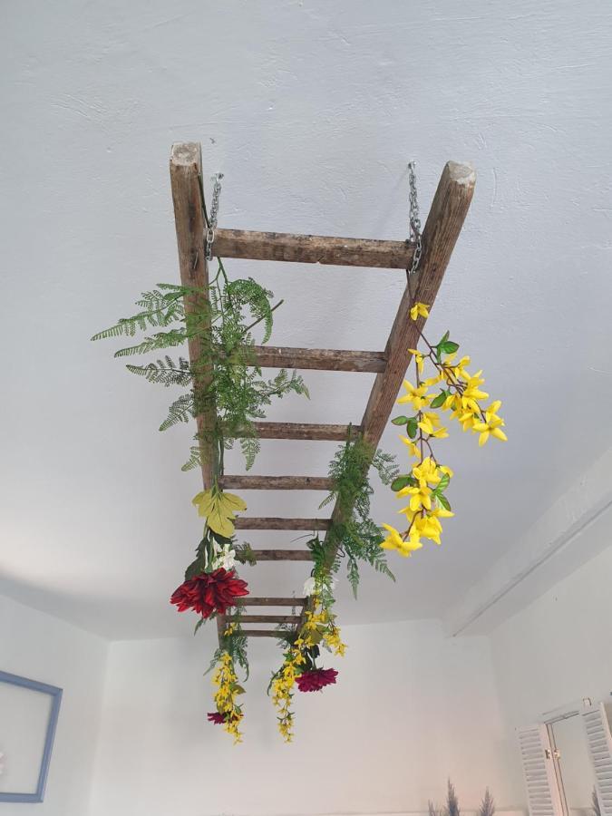 Infresh Holiday House Sibenik Bagian luar foto